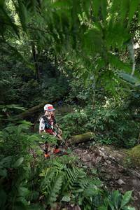 BIB: 
                            <button type="button" onclick="openModal(16032861)" class="btn btn-primary btn-sm float-right btn-popup" data-toggle="modal" data-target=".modal-high-quality">
                        <i class="fas fa-shopping-cart"></i> Add to Cart
                    </button>
                                            <button type="button" onclick="isThisMe(16032861, true)" class="btn btn-success btn-sm float-right btn-popup btn-isme hidden" data-toggle="tooltip" data-placement="bottom" title="นี่คือรูปของคุณใช่ไหม คลิกที่นี่เพื่อเอาเข้าอัลบั้ม">
                        <i class="fas fa-plus"></i> Add to album
                    </button>
                    <button type="button" onclick="isThisMe(16032861, false)" class="btn btn-warning btn-sm float-right btn-popup btn-isnotme hidden">
                        <i class="fas fa-ban"></i> Remove from album
                    </button>